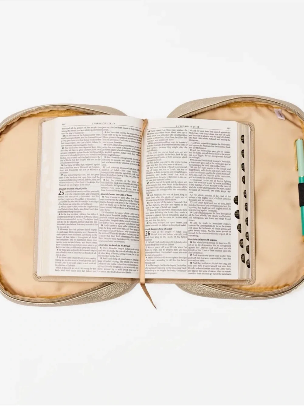Mary Square Champagne Bible Cover